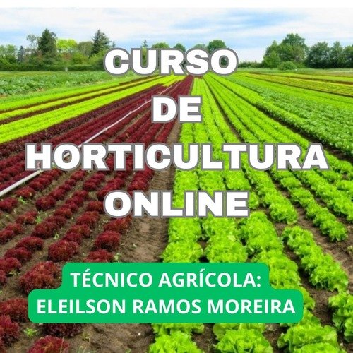 Descubra a Horticultura: Uma Jornada Rumo à Sustentabilidade e ao Sucesso Financeiro