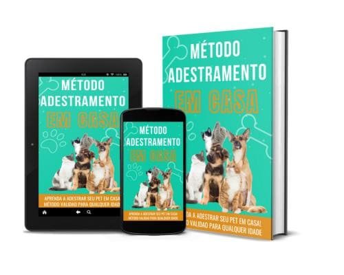 O Cachorro é o Melhor Amigo do Homem: A Importância do Adestramento e Como Fazer Isso em Casa com o "Método Adestramento em Casa"