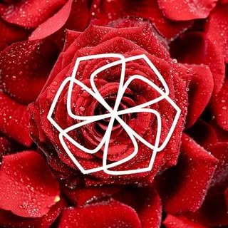 Minas Flor Distribuidora