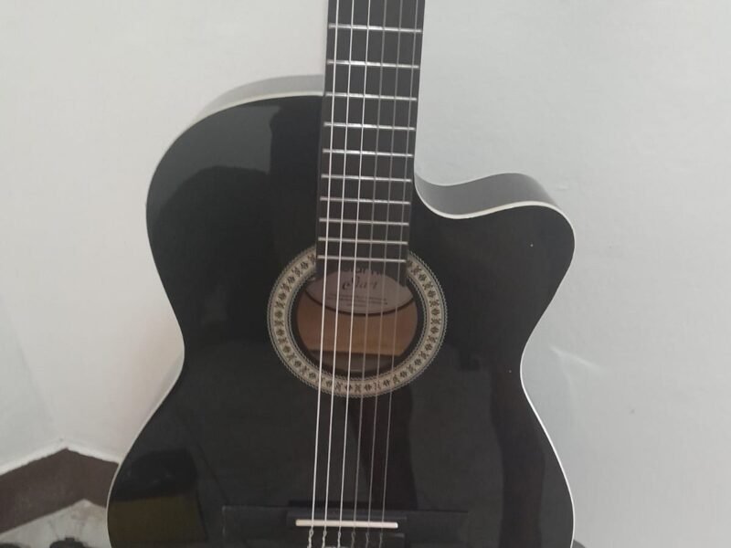 Violão Elétrico Gianini Start Nylon Semi-novo