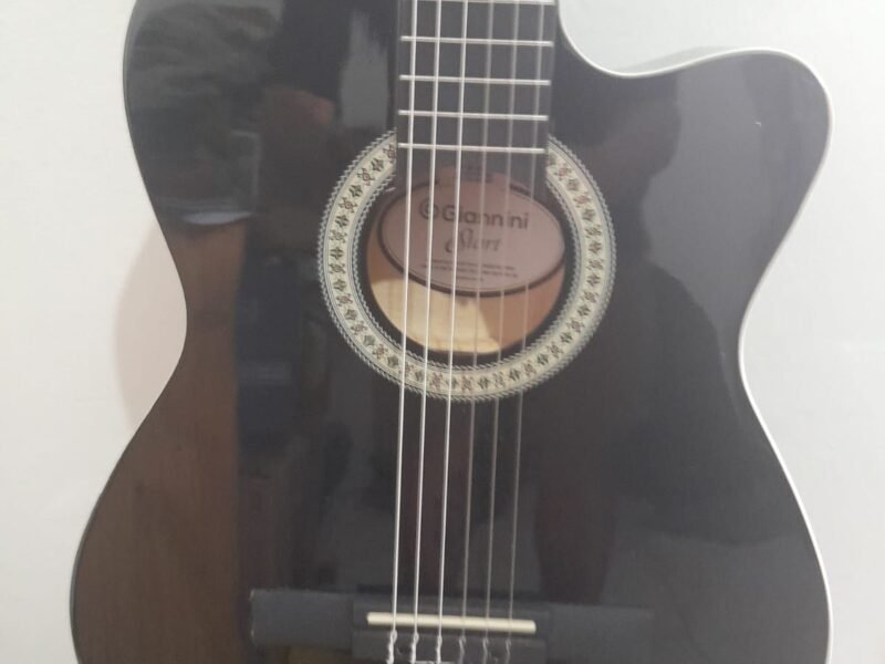 Violão Elétrico Gianini Start Nylon Semi-novo